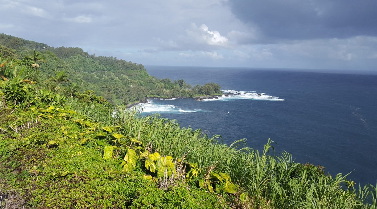 Perspective Pivot: Mapping a Landscape of Voices in Oahu Is Changing Energy Planning