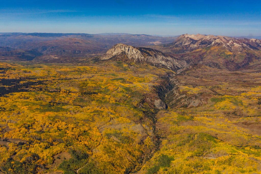 More than 47,000 aspen trees, all connected by a single root system, make up the Kebler Pass aspen stand in the Colorado high country. Credit: EcoFlight