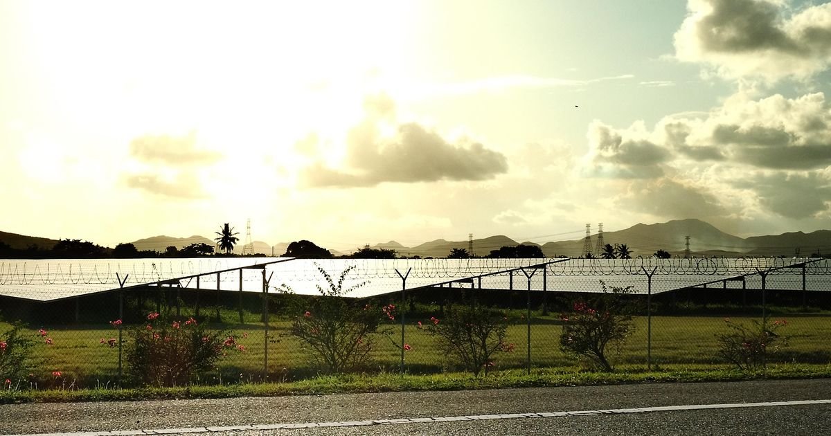 A 'Flood' Of Solar Panels Threatens Puerto Rico's Farmers