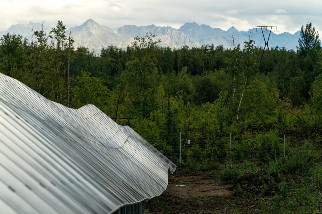 The 8.5-megawatt solar farm in Houston, Alaska, is comprised of 14,000 solar panels and sits on land that was burned during the devastating 1996 Miller's Reach Fire. Credit: Loren Holmes/ADN