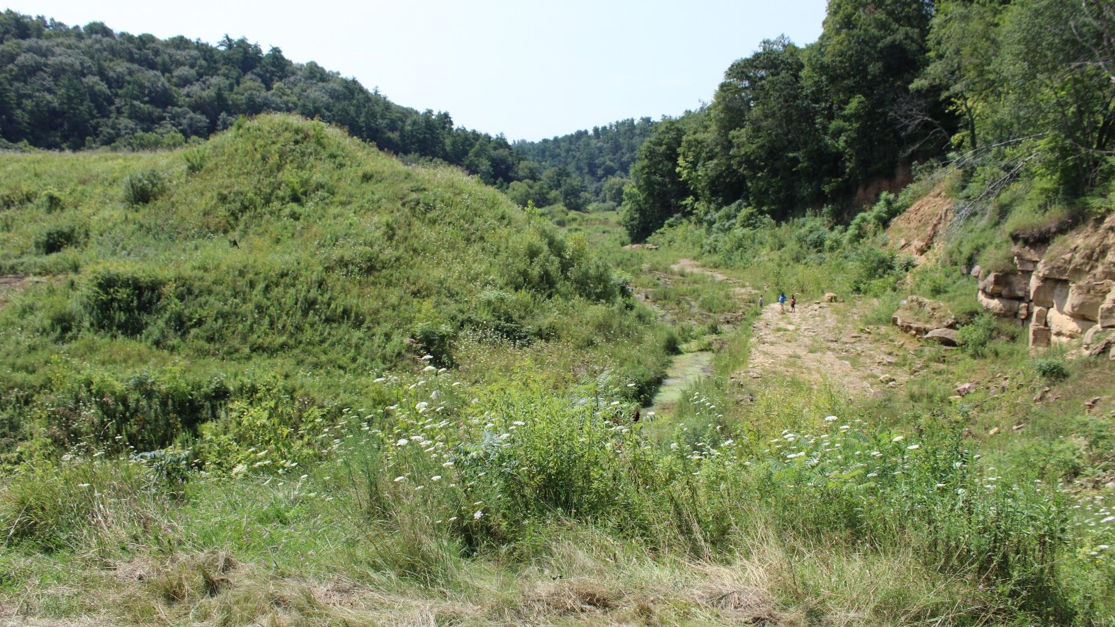 Several people walk through a lush green valley surrounded by trees