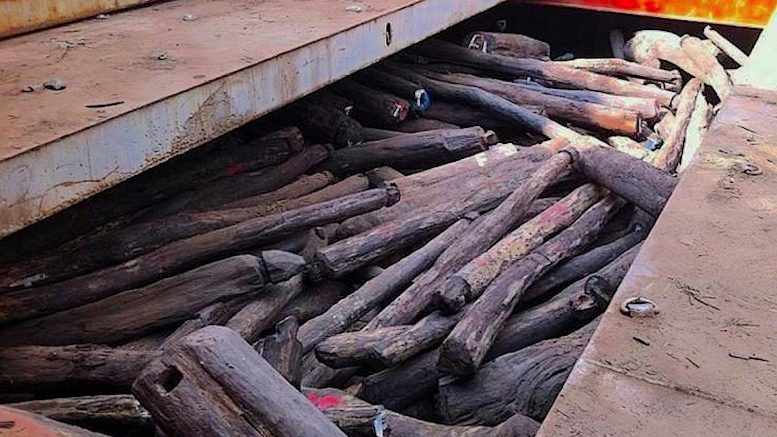 How Traffickers Got Away with the Biggest Rosewood Heist in History